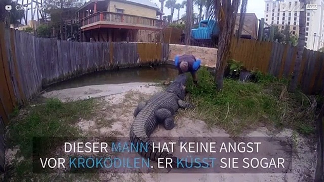 Mutprobe: Mann küsst Krokodil