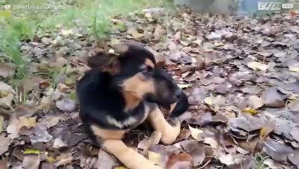 Tschernobyl: Geisterstadt im Norden der Urkaine