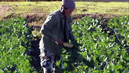 (Heiwa Fansubs) Genkai Shuraku Kabushikigaisha (Ep 05) END [Eng Sub] HD