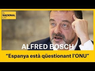 ALFRED BOSCH: "Espanya està qüestionant a l'ONU, desmereixent la seva reputació internacional"