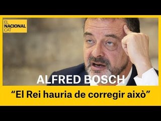 ALFRED BOSCH: "El Rei enlloc de dir "a por ellos" hauria de corregir aquestes deficiències"