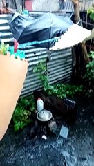 Can't Cook Because Of Rain