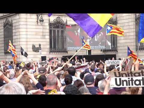 Ada Colau, escridassada al aparèixer a la pantalla de Sant Jaume