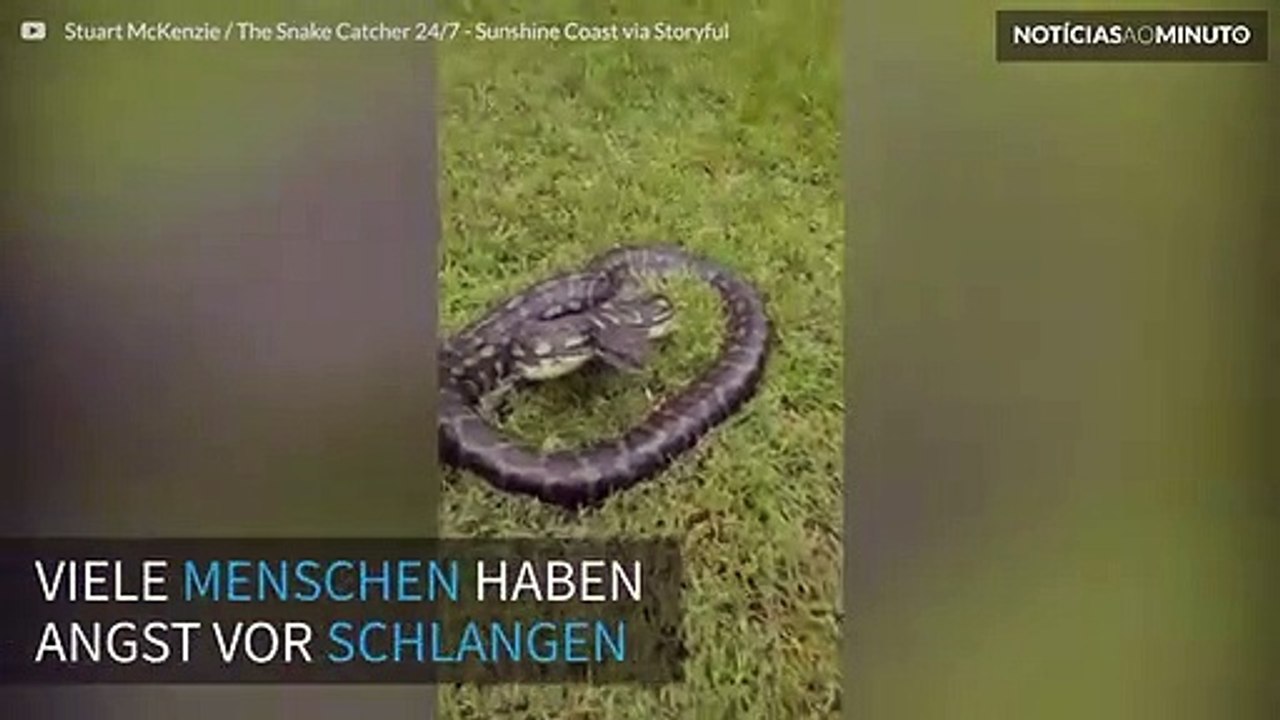 Warum Sie Angst vor Schlangen haben sollten