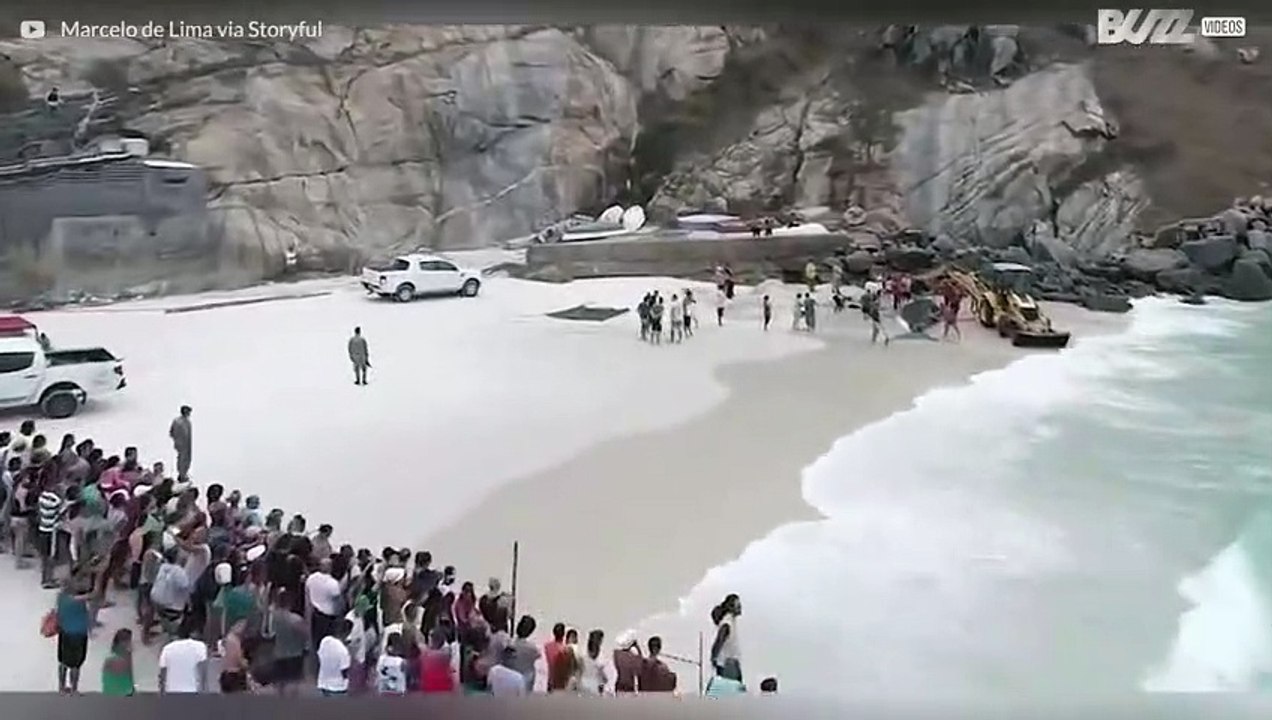 Gestrandeter Wal an der Küste Brasiliens gerettet