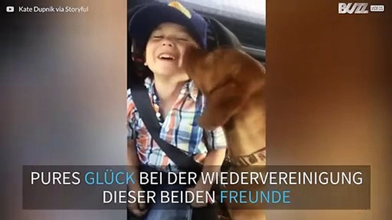 Hund freut sich, seinen Freund wiederzusehen