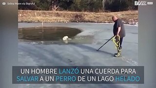 ¡Perro se agarra a una cuerda para salir de un lago helado!