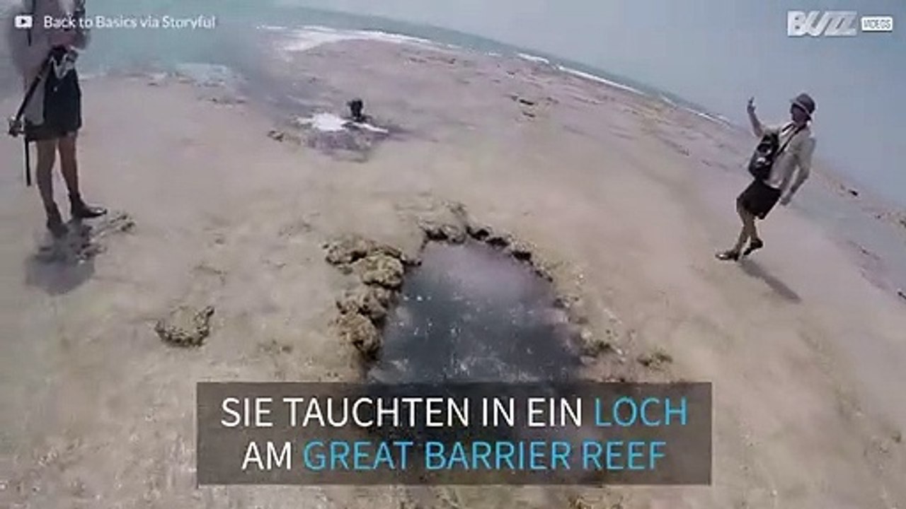 Ein Tauchtrip führt in eine atemberaubend schöne Korallenhöhle