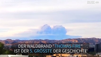 Zeitraffer zeigt riesige Rauchwolke in Kalifornien