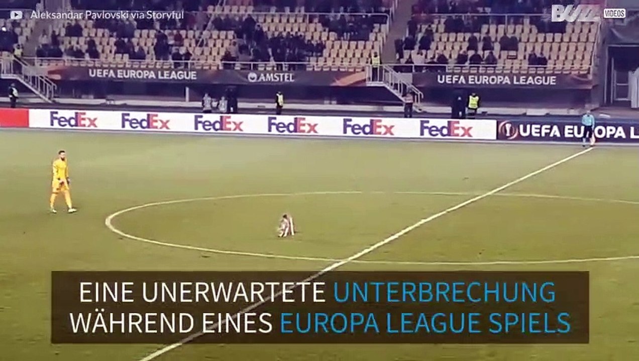 Hund rennt während Europa League auf's Spielfeld