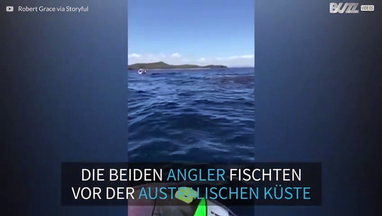 Angler von Haien umkreist