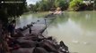 Epischer Kampf zwischen Krokodil und Angler