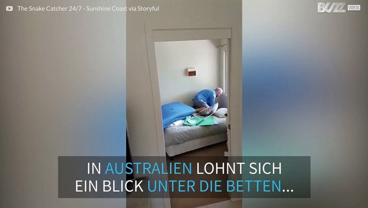 Ängstliche Frau von riesiger Eidechse überrascht