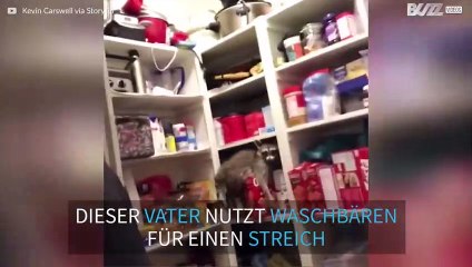 Vater legt seine Tochter mit Hilfe eines ausgestopften Waschbären rein