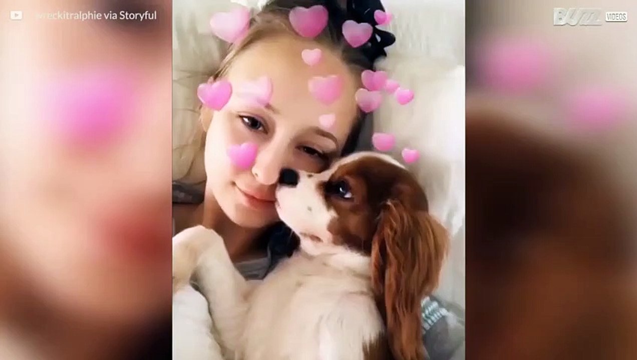 Hund hasst Selfies mit seinem Frauchen