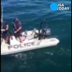 Great white shark stalks police boat