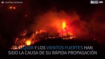 Increíbles incendios forestales en Italia