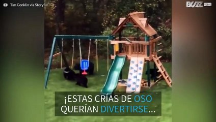 ¡Oseznos invaden un parque infantil en EE.UU.!