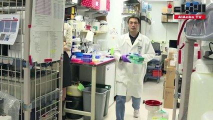 العلاج المناعي يفتح ىفاقا جديدة للشفاء من الأمراض السرطانية