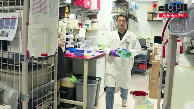 العلاج المناعي يفتح ىفاقا جديدة للشفاء من الأمراض السرطانية