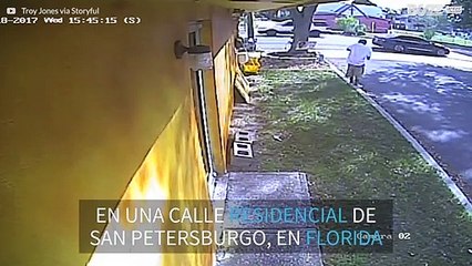 Avioneta aterriza de emergencia en una calle y choca contra dos coches en Florida