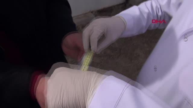 Sivas'ın 'taklacı güvercini' tescillenecek