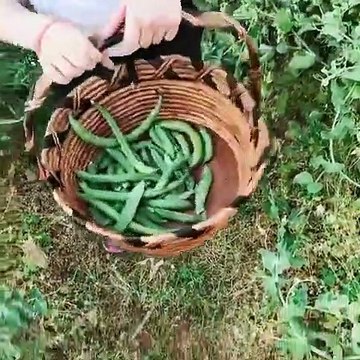 ابنة سيرين عبد النور تخطف الانظار بعفويتها وشعرها الطويل