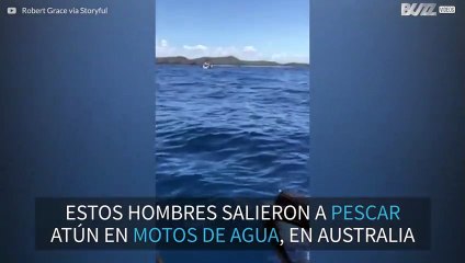 Pescador es rodeado por decenas de tiburones en Australia