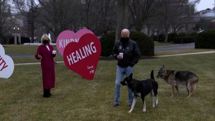 First Dogs zurück im Weißen Haus