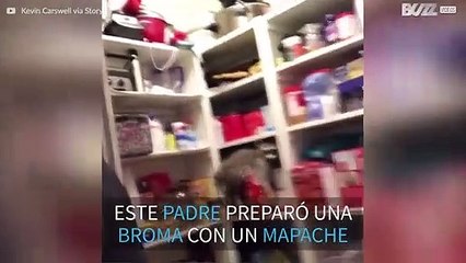 Papá utiliza un mapache para gastarle una broma a su hija
