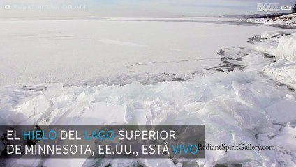 ¡El hielo del lago Superior de Minessota está vivo!