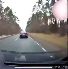 حادث: تدافع غزال مفاجئ على طريق سريع يحير رواد السوشيال ميديا