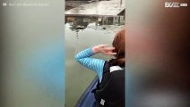Kids spot shark during sailing class