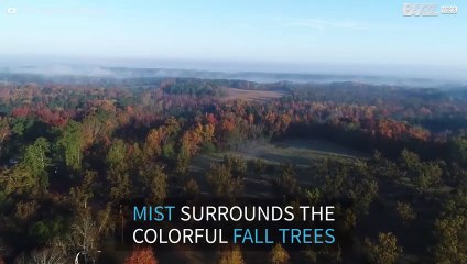 The misty Fall landscapes of South Carolina