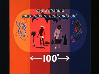 Mars and Beyond (Tomorrow Land) - Walt Disney Treasures