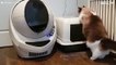 Timo the cat and his litter box from the future