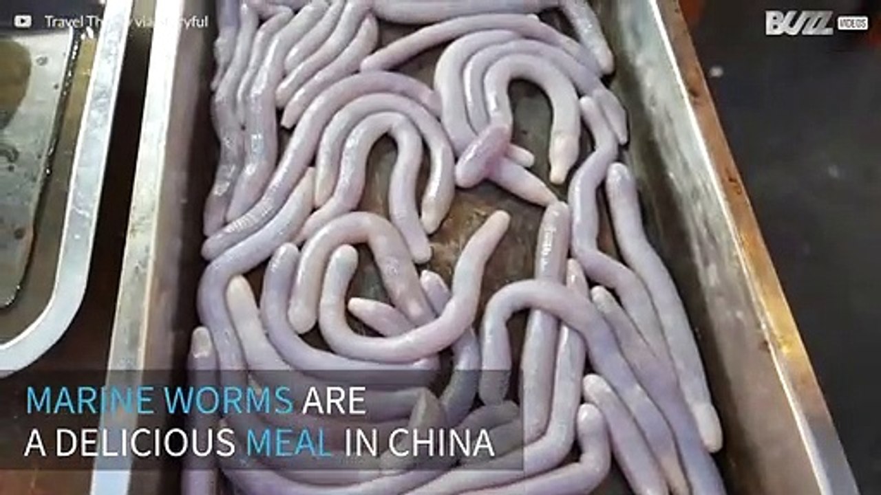 Giant marine worms are a delicacy in China