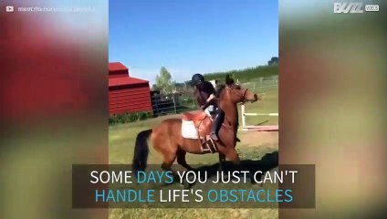 Stubborn horse refuses to jump over obstacle