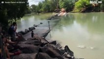 Epic battle between crocodile and fisherman in Australian river