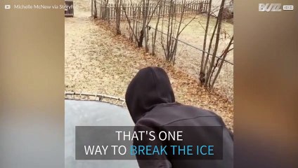 What happens when you jump on a trampoline covered in ice?