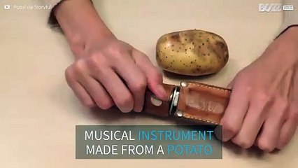 Ever seen 'Sandstorm' by Darude played on a potato!?