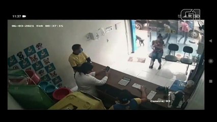 Un chien errant blessé va de lui-même chez le vétérinaire