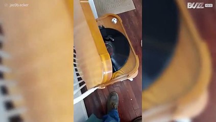 Lamp turns on to sound of jazz