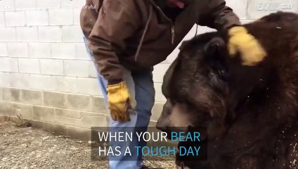 Keeper pets 635 kg bear