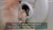 Dog is transfixed by washing machine