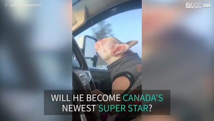Is this French bulldog Canada's new singing sensation?
