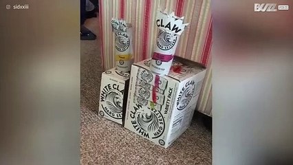 Buddies create "army" from drink cans