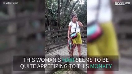 Monkey tries to eat tourist's hair