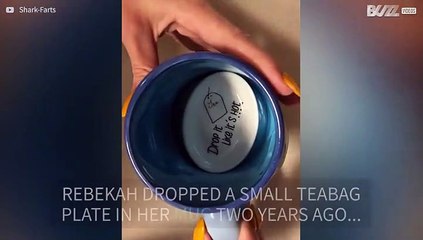 Teabag plate stuck in mug for two years!