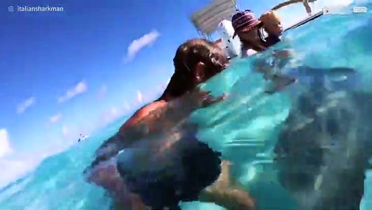 Diver swims with rays in Bora Bora